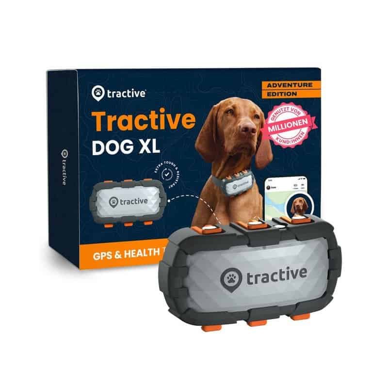 Reloj GPS para perros Tractive Dog XL con localización en tiempo real y monitoreo de salud.