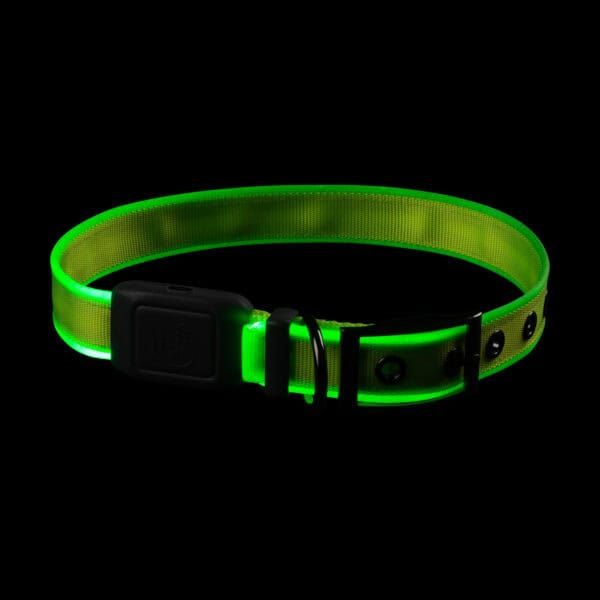 Luces led para perros, collar luminoso y de seguridad, perfecto para paseos nocturnos.