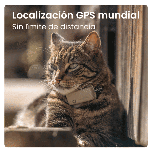 Localización GPS mundial para mascotas, seguimiento sin límite de distancia.