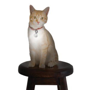 Gato con collar y placa sobre taburete, figura decorativa realista, ideal para amantes de mascotas.