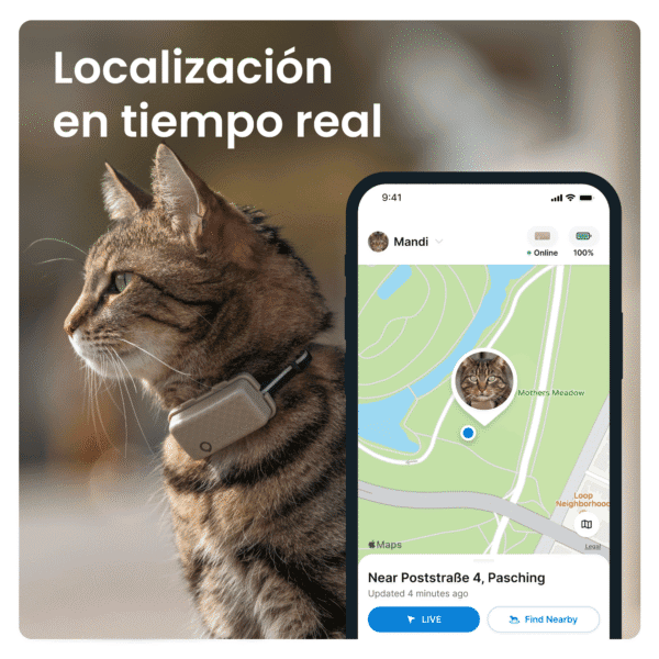Etiquetas para la imagen:.