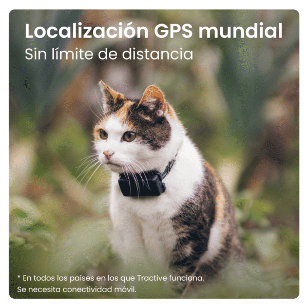 Gps localizador para mascotas, rastreo mundial sin límites.