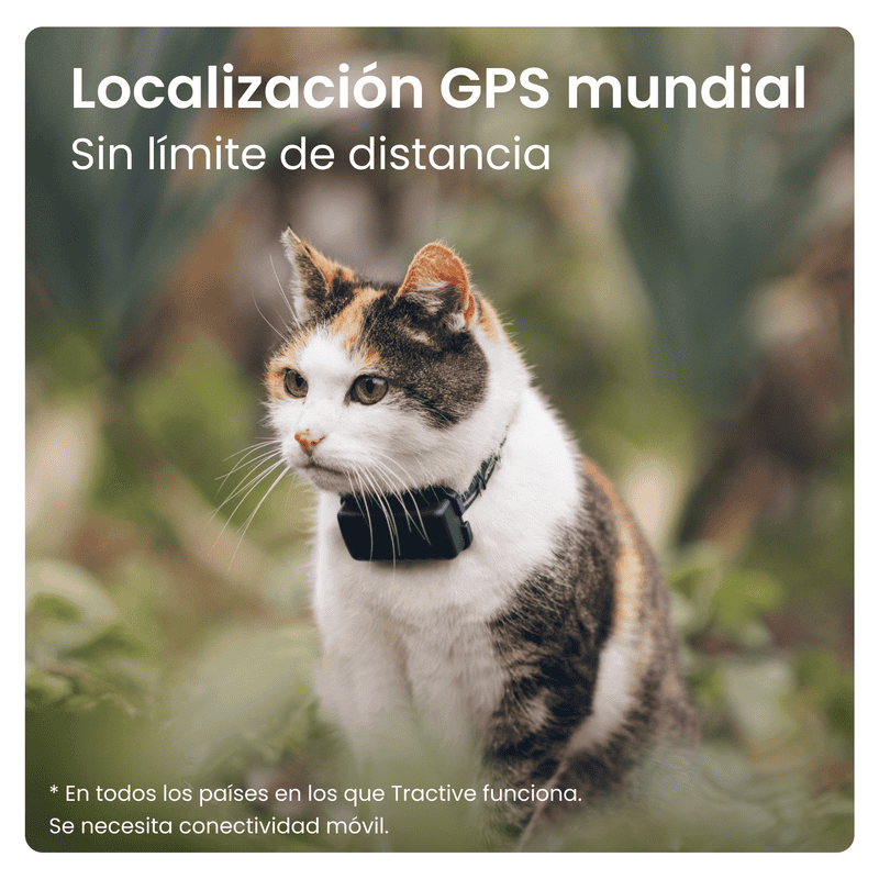 Gps localizador para mascotas, rastreo mundial sin límites.