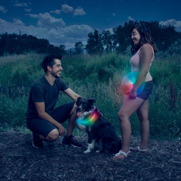 Mano con niña y perro con efectos de luz, en campo al atardecer.