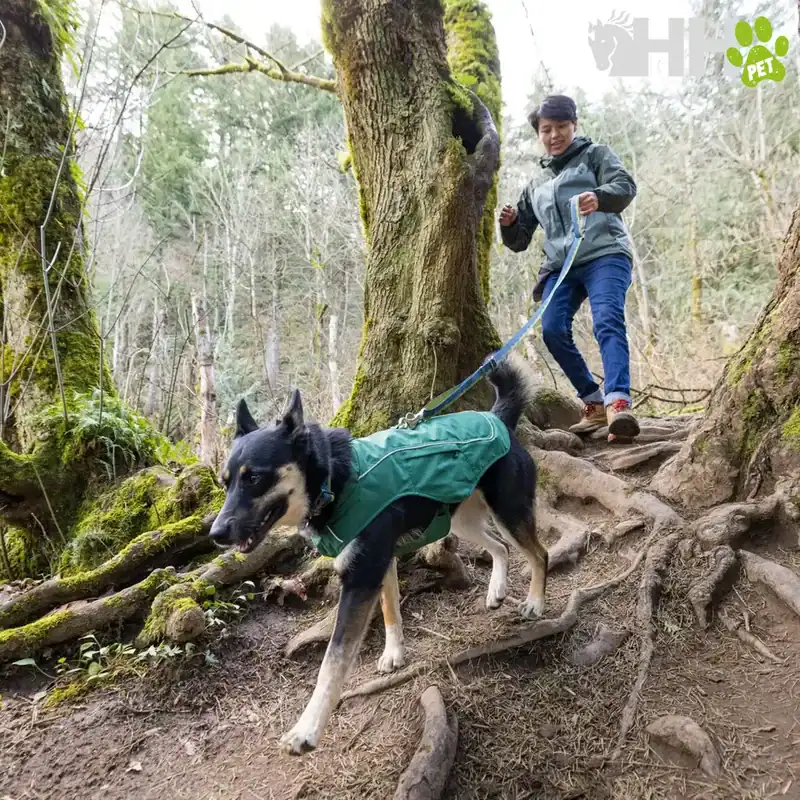 chaqueta arnes ruffwear para perros overcoat fuse