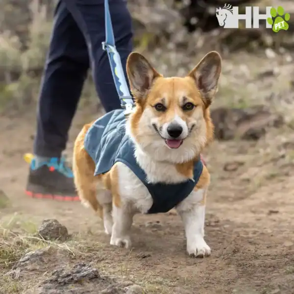 chaqueta ruffwear para perros stumptown