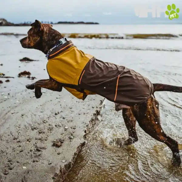 chubasquero ruffwear para perros sun shower