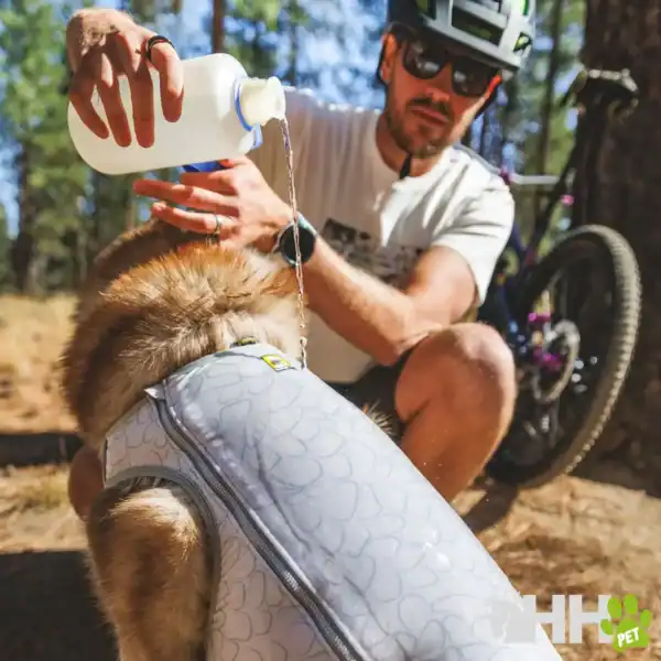 chaleco refrescante ruffwear para perros (con cremallera) swamp cooler zip