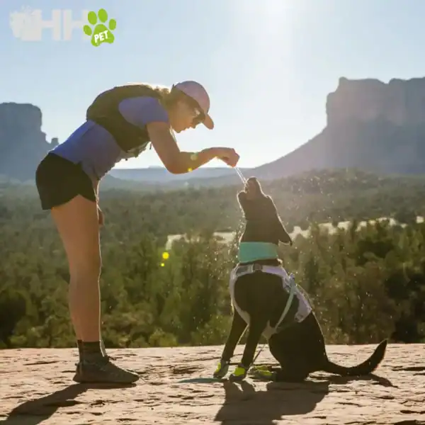 braga refrescante ruffwear para perros (reversible) swamp cooler neck gaiter