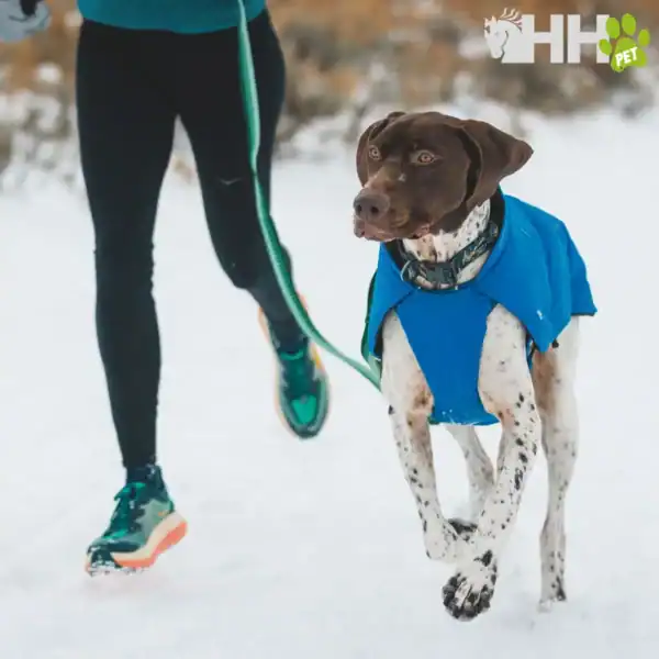 chaqueta ruffwear para perros vert
