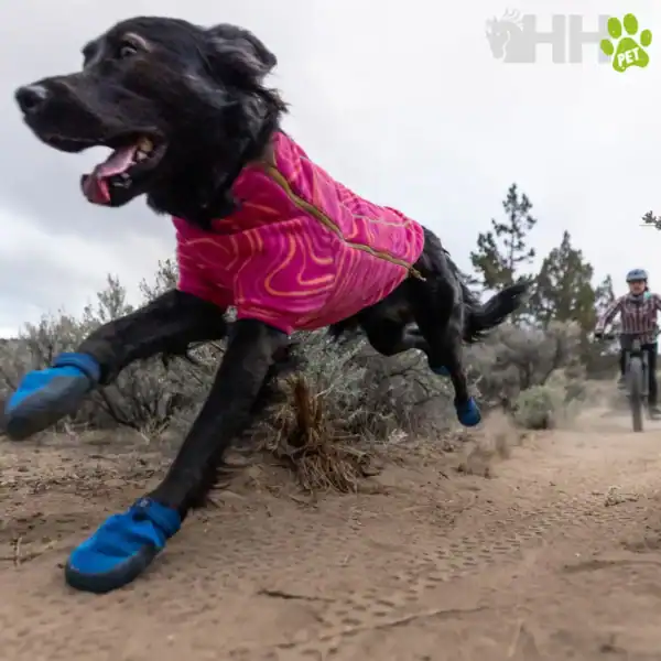 zapatilla de trail ruffwear para perros hi & light (par)
