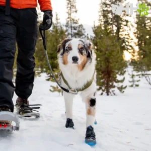 bota de invierno ruffwear para perros polar trex (par)
