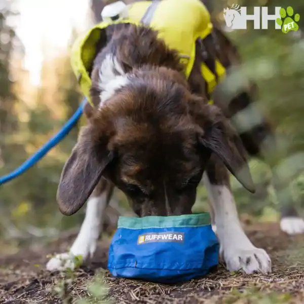 comedero ultraligero ruffwear para perros trail runner