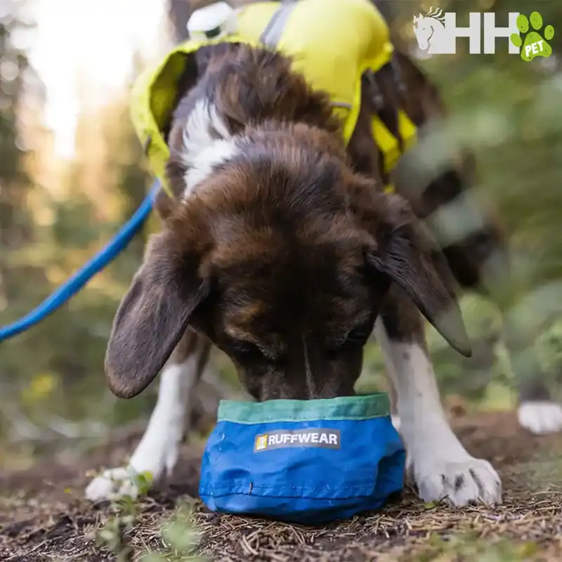 comedero ultraligero ruffwear para perros trail runner