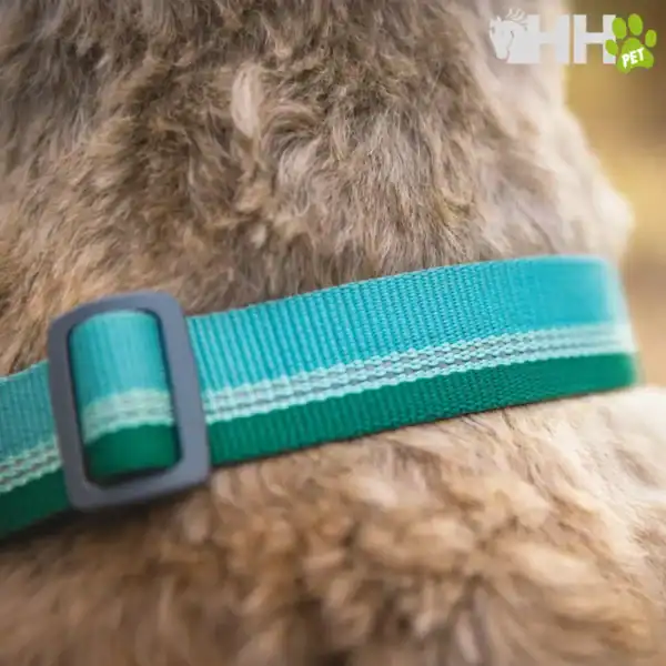 collar martingala ruffwear para perros chain reaction