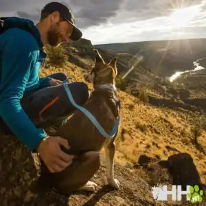 collar ligero ruffwear para perros hi & light