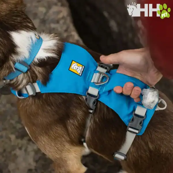 arnes con asa ruffwear para perros flagline