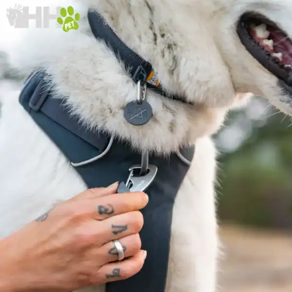 arnes ruffwear para perros front range