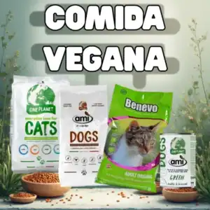 comida vegana