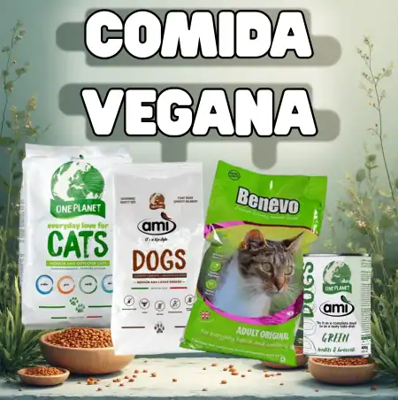 comida vegana
