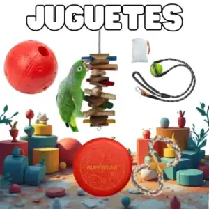 copia de comida vegana