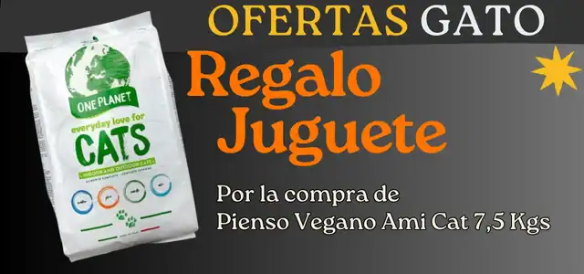 oferta ami cat