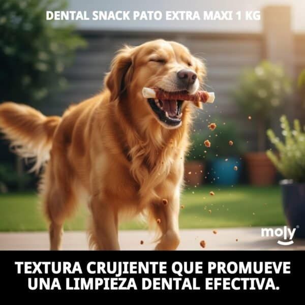 dental snack de pato extra maxi 1 kg | masticación prolongada y cuidado dental para perros grandes