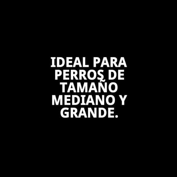 collar cuero liso c/fornitura 45 cm