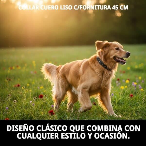 collar cuero liso c/fornitura 45 cm