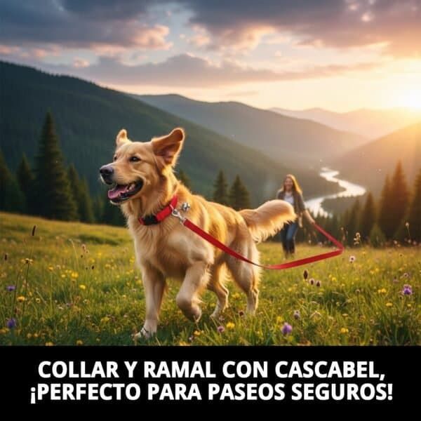collar y ramal lisos con cascabel