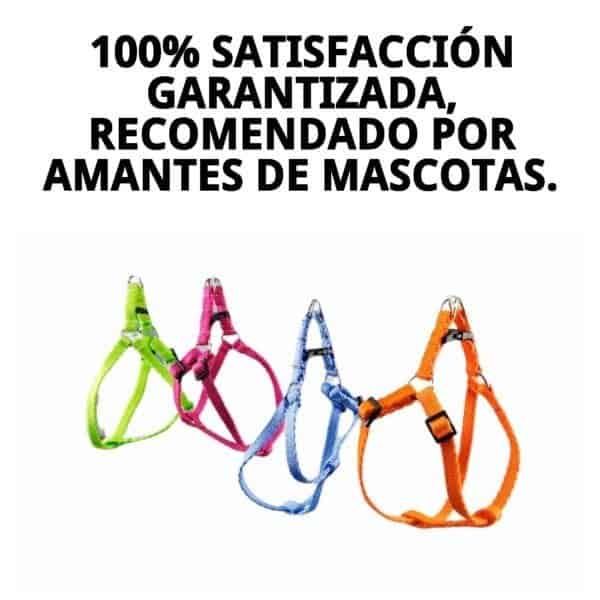 arnes con ramal fluor 1,3 colores