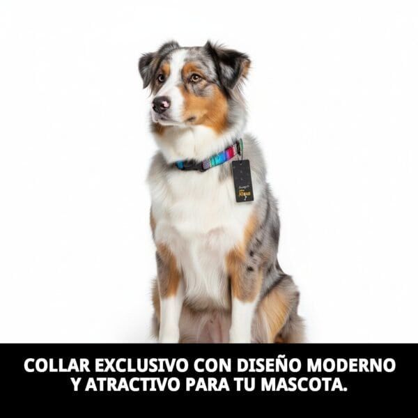 collar city fantasia 3x40 70