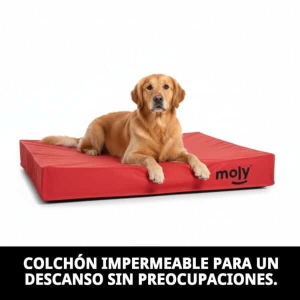colchon waterproof rojo t 1 80x60x10