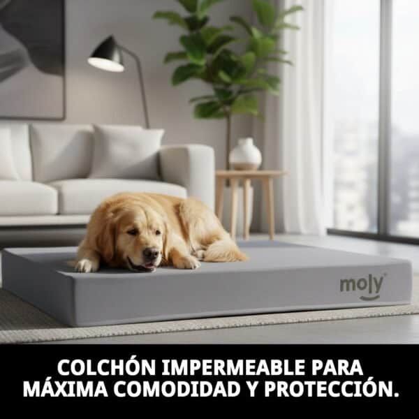 colchon waterproof gris t 1 80x60x10