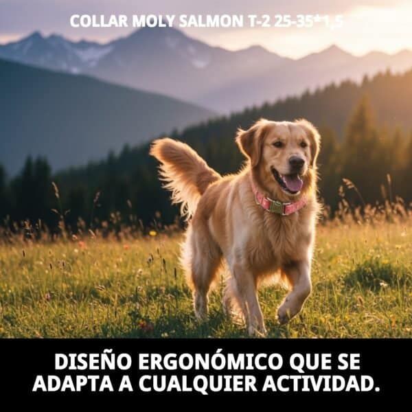 collar moly salmon t 2 25 35*1,5