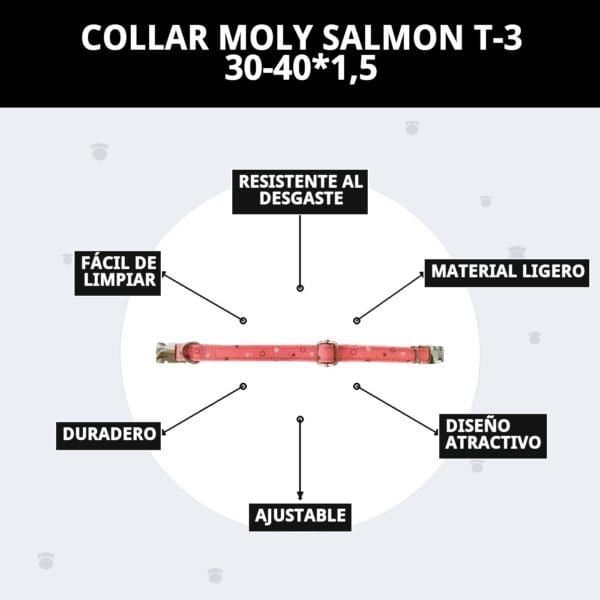 collar moly salmon t 3 30 40*1,5