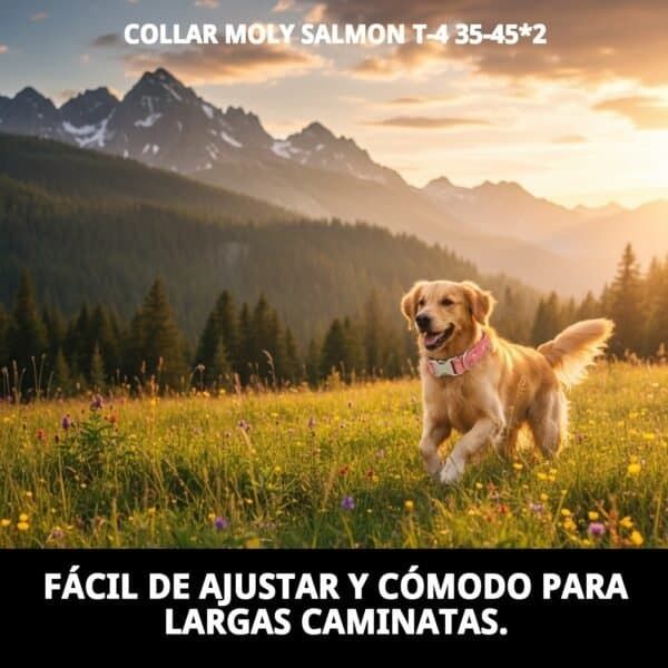 collar moly salmon t 4 35 45*2