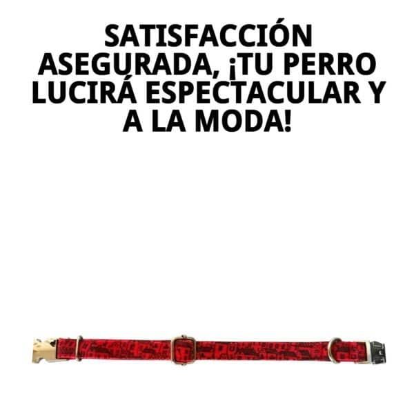 collar casitas rojas t 6 45 55*2,5
