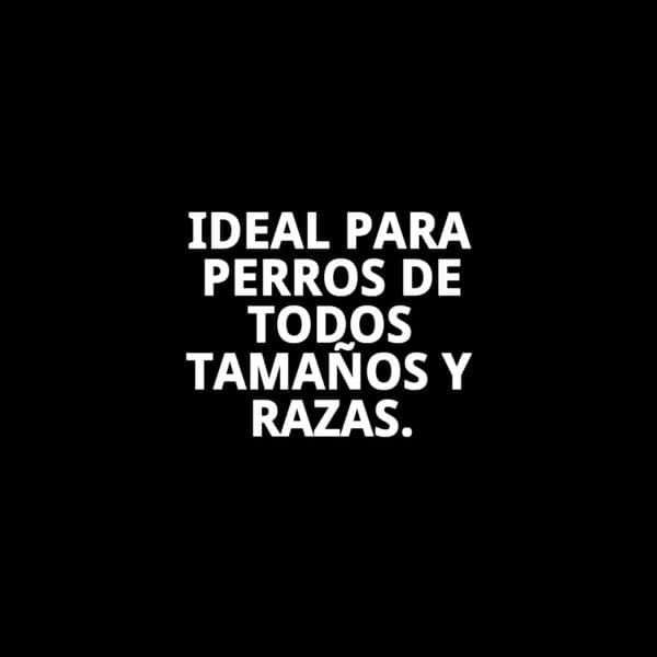 ramal escoces t 2 120*2