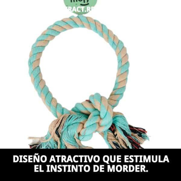 mordedor interactivo redondo avocat con nudo moly | juguete resistente y estimulante para perros