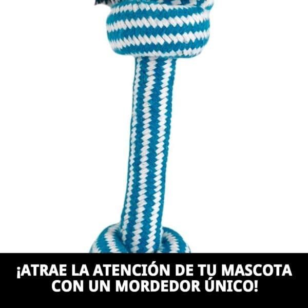 mordedor bonn navy 25 cm moly | juguete resistente para morder y jugar a diario