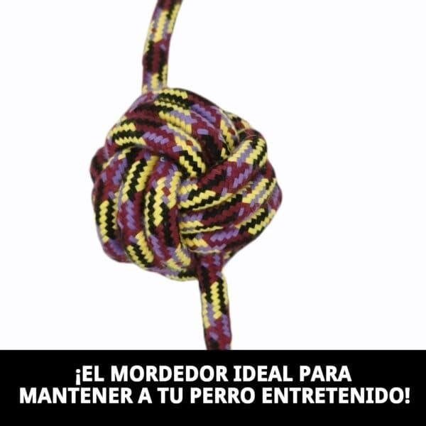 mordedor trendy 32 cm moly | juguete resistente y colorido para masticar y jugar