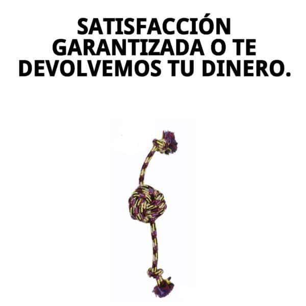 mordedor trendy 32 cm moly | juguete resistente y colorido para masticar y jugar