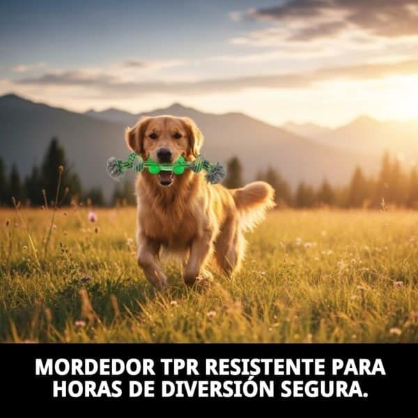 mordedor tpr 26 cm green moly | juguete resistente para masticar y fortalecer la mandíbula