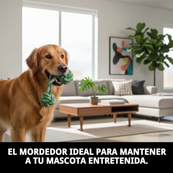 mordedor asa con pelota 18 cm tpr green moly | juguete resistente para morder y tirar