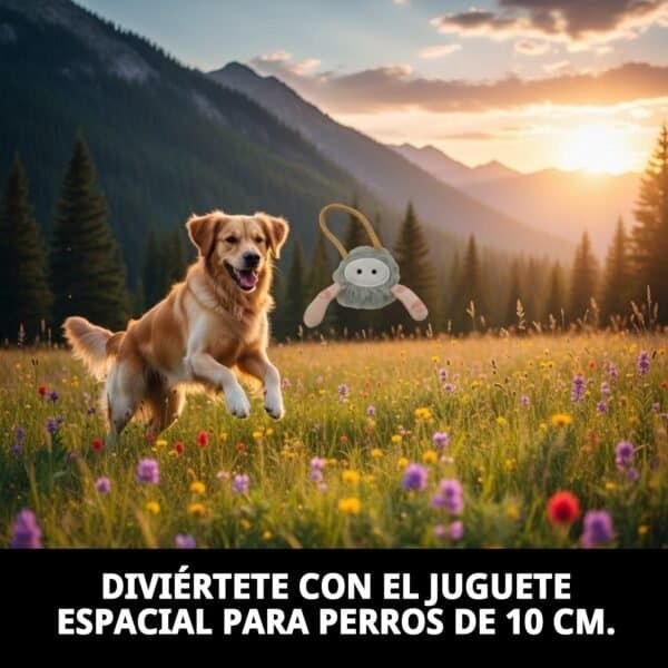 juguete space para perros 10 cm moly | mordedor suave, resistente y perfecto para cachorros