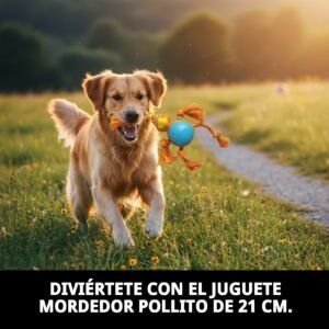 mordedor pollito para perros 21 cm moly | juguete resistente y divertido para masticar
