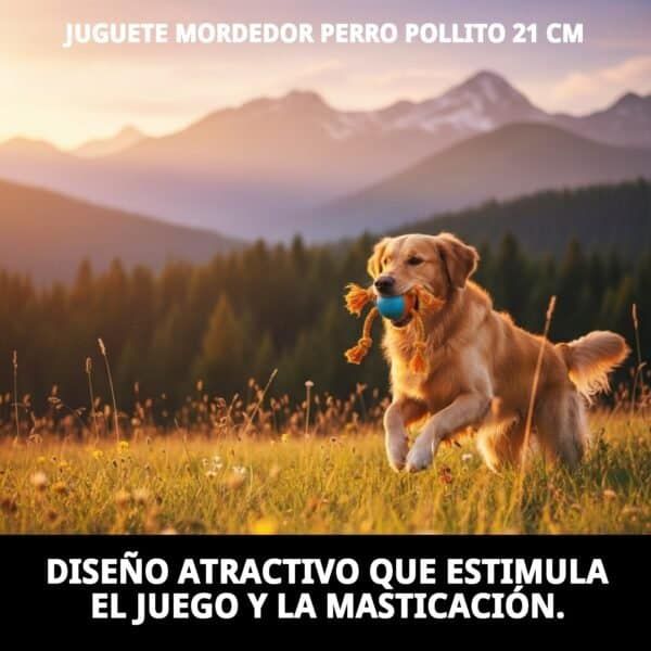 mordedor pollito para perros 21 cm moly | juguete resistente y divertido para masticar