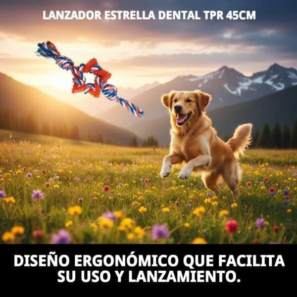 juguete lanzador estrella dental tpr 45 cm moly | juguete resistente y limpia dientes para perros
