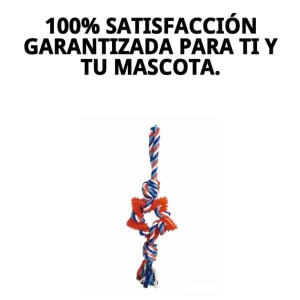 juguete lanzador estrella dental tpr 45 cm moly | juguete resistente y limpia dientes para perros